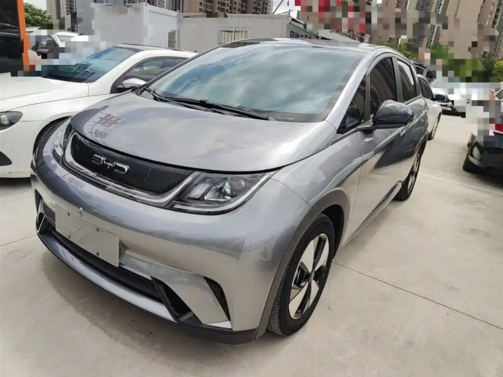 BYD Dolphin 2023 420km Freedom Edition фото 2