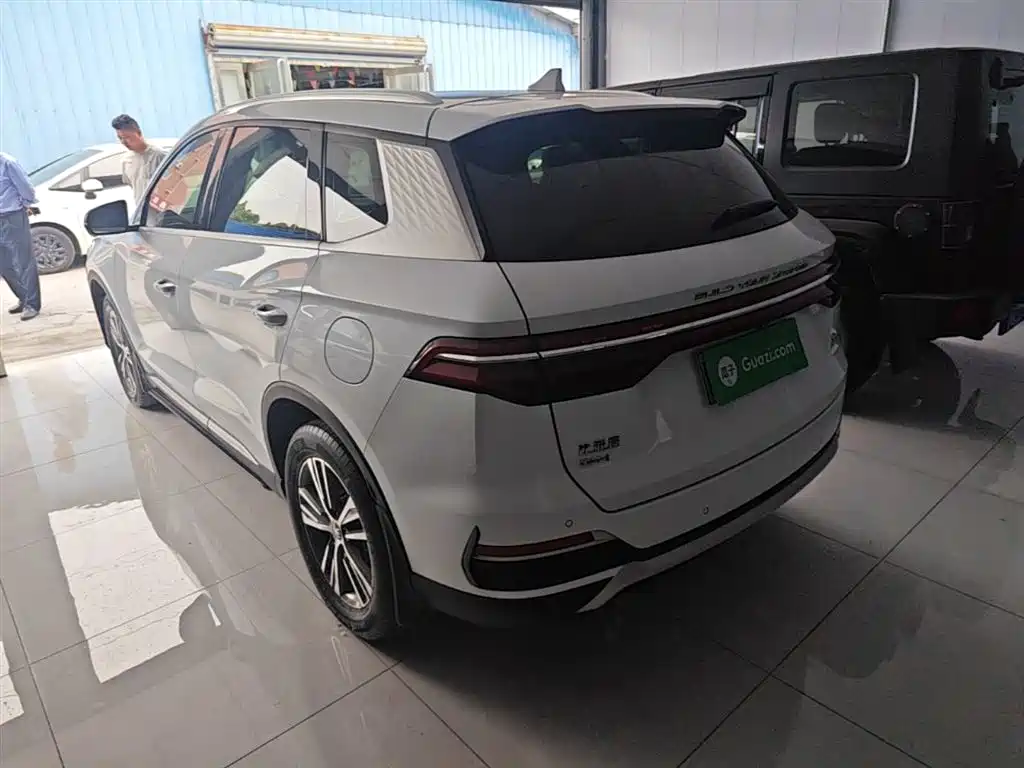 BYD Song Pro New Energy 2022 DM-i 51km Premium фото 5