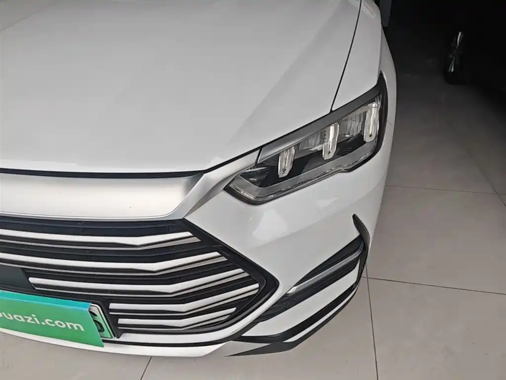 BYD Song Pro New Energy 2022 DM-i 51km Premium фото 24