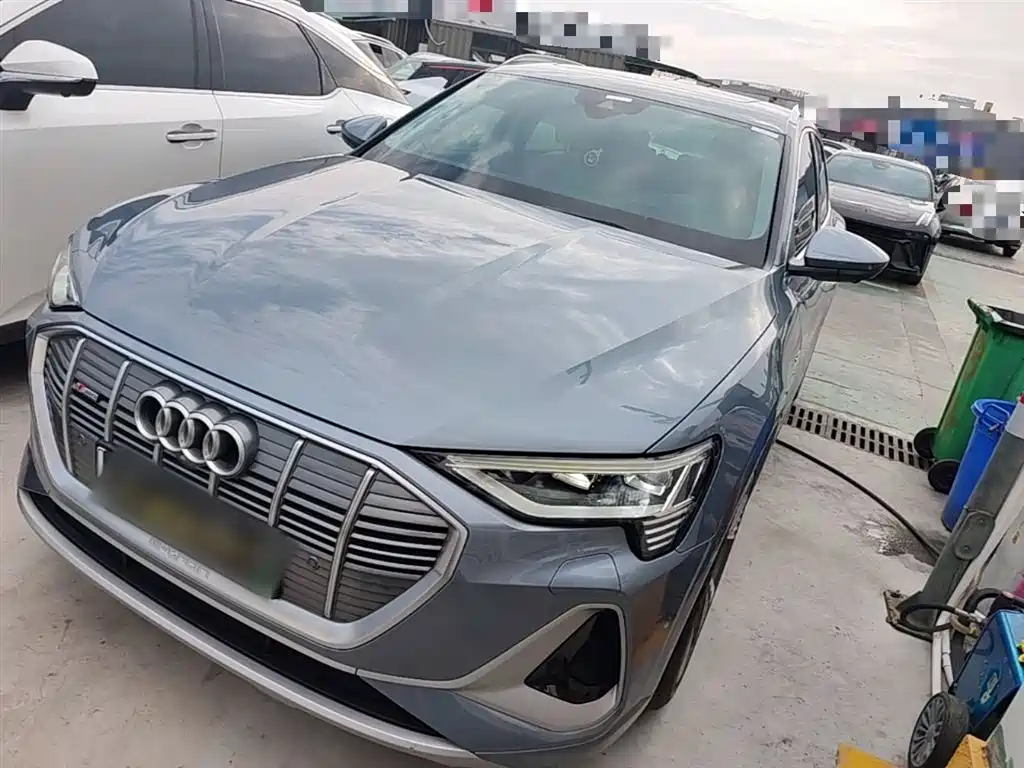 Audi e-tron 2021 50 quattro Premium