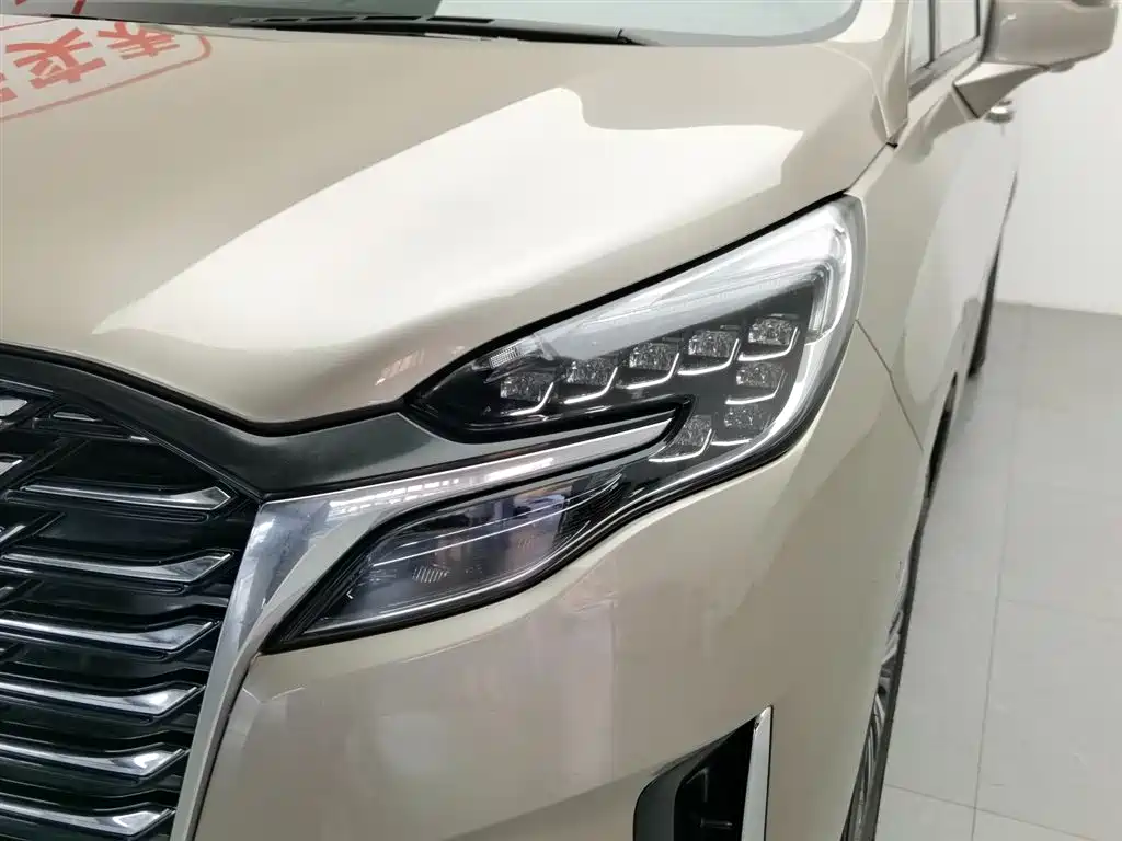 Buick GL8 2023 ES Landmaster Luxury фото 6