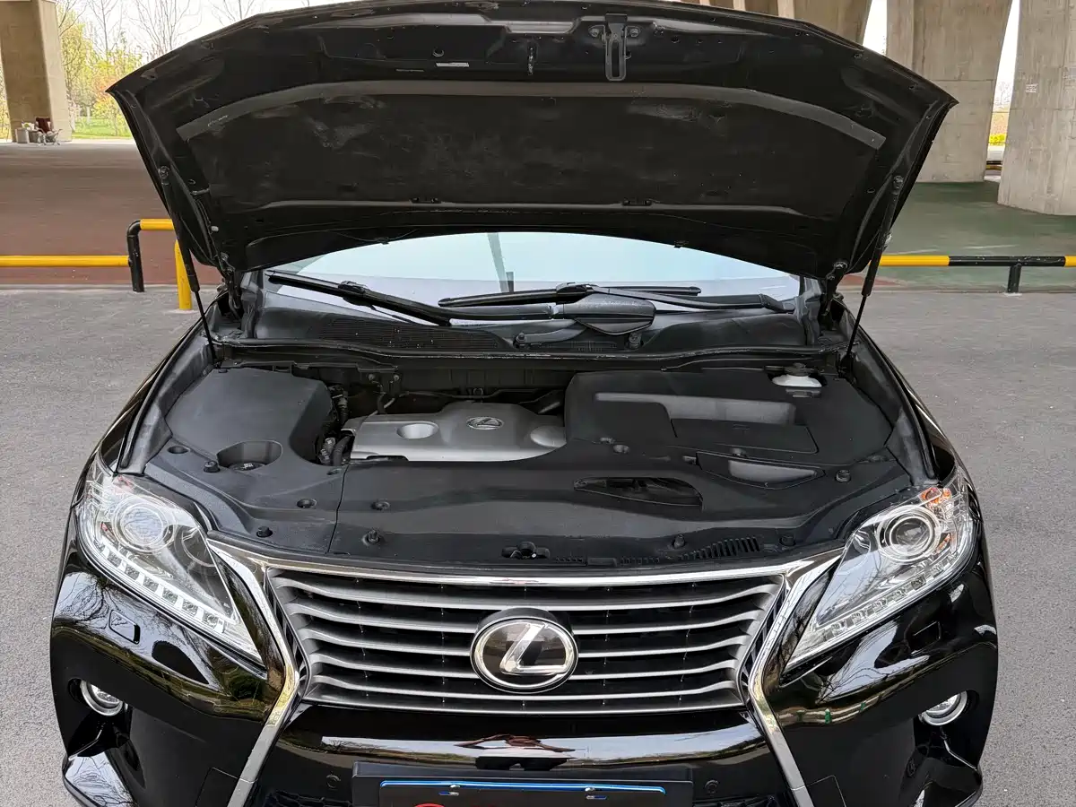 Lexus RX Classic 2014 270 Special Limited Edition фото 20