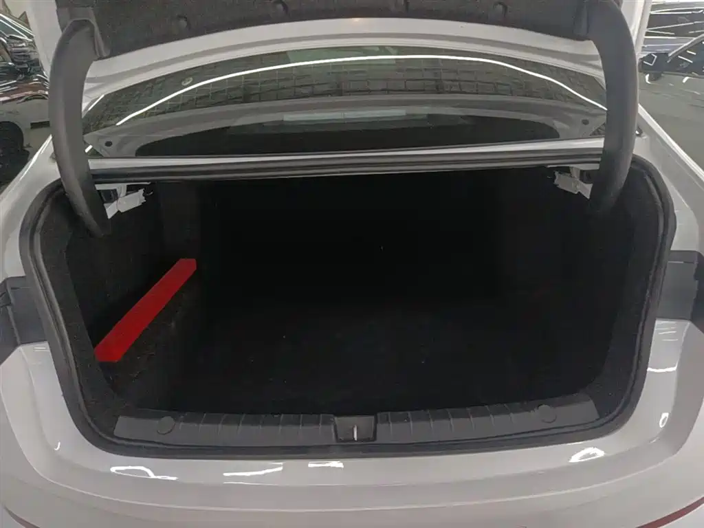 BYD Qin PLUS 2025 DM-i Smart Drive 55KM Leader фото 19