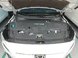 Фото 20 - Honda e:NP2 Extreme Wave 2