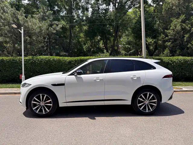 Jaguar F-PACE 2024 P250 R-Dynamic SE — фото 3