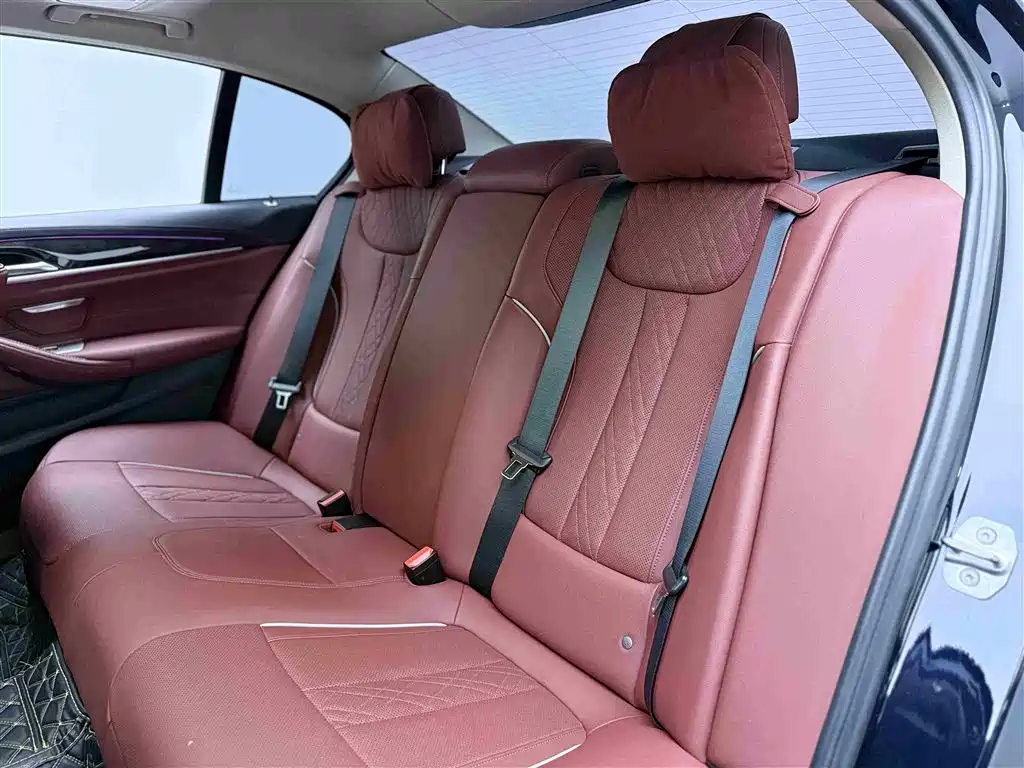 BMW 5 Series 2022 525Li Luxury Package фото 15