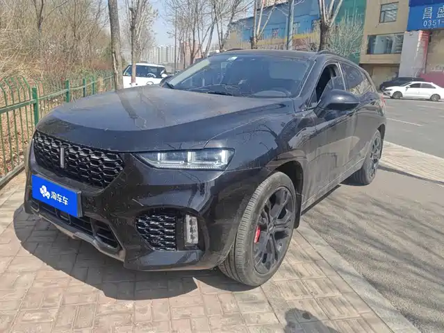 WEI PAI WEI BRAND VV7