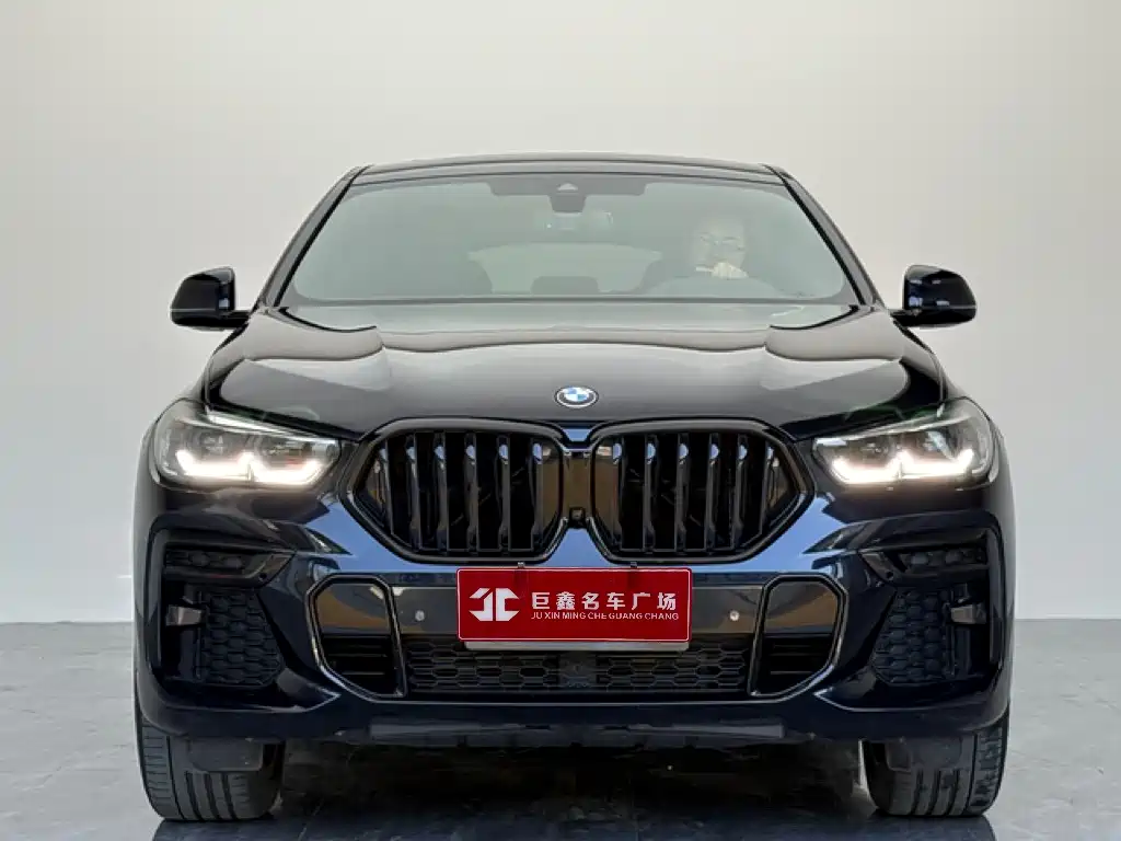 BMW X6 2023 2023 xDrive30i M Sport Package