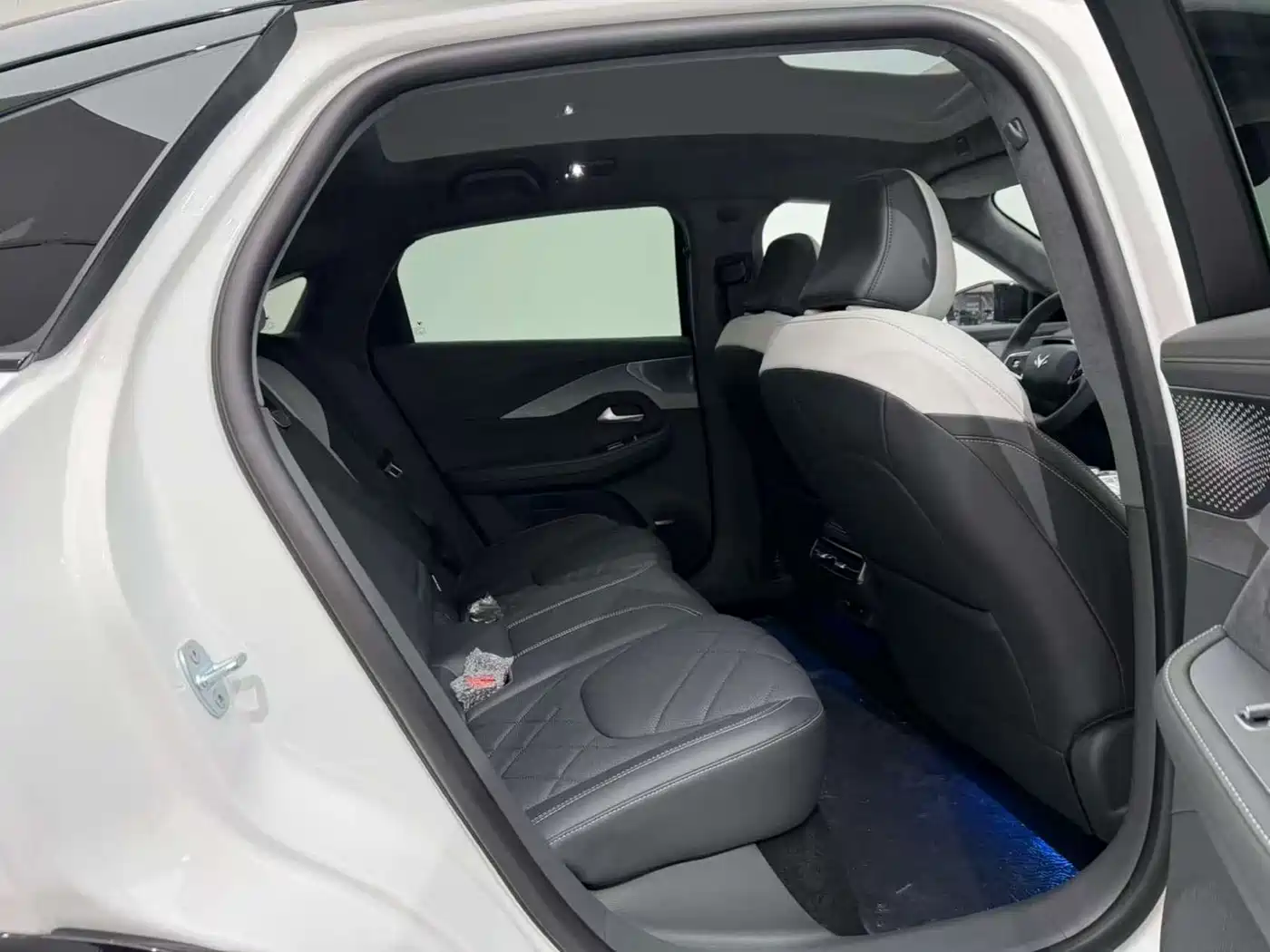 ARCFOX EXTREME FOX POLAR FOX ALPHA S6