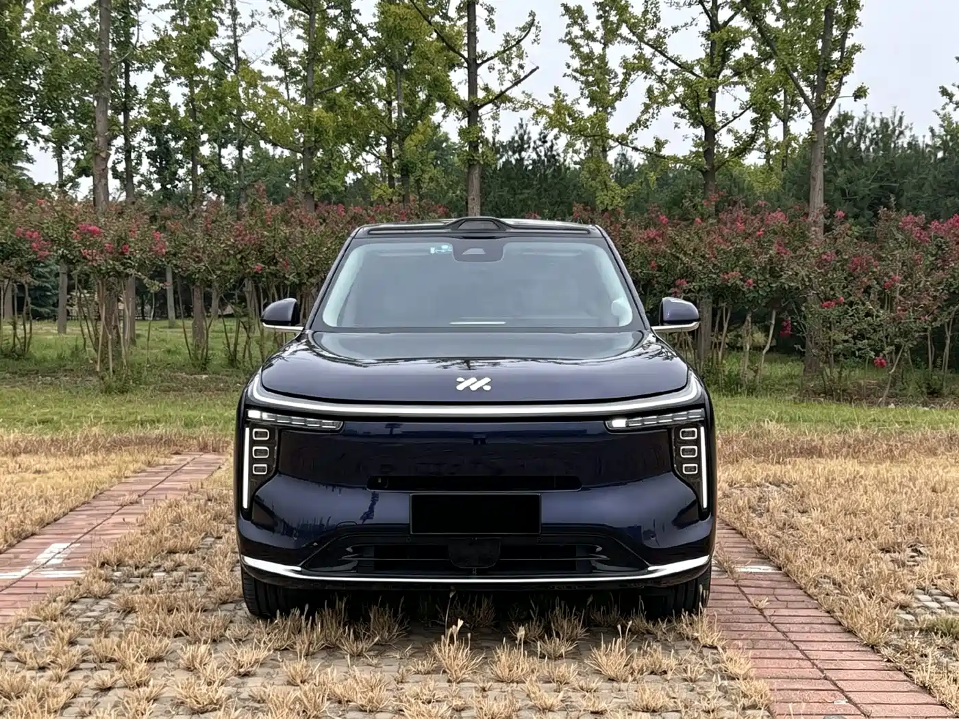 IM Motors IM LS9 2026 2026 Model 52kWh Base Version