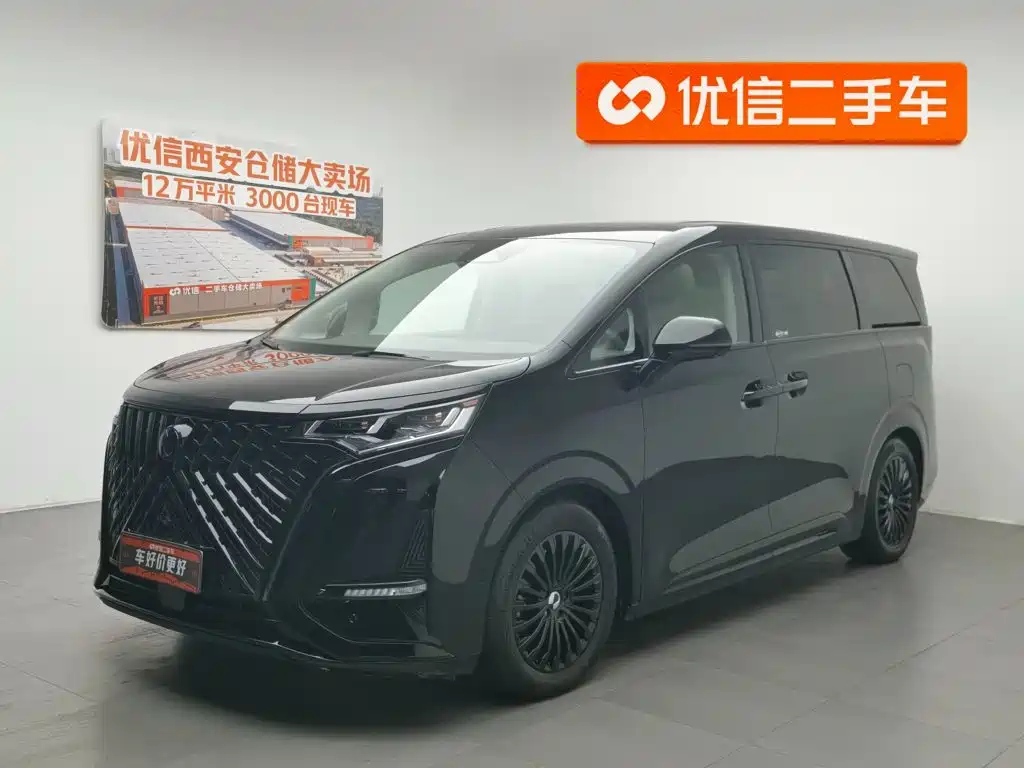 DENZA D9