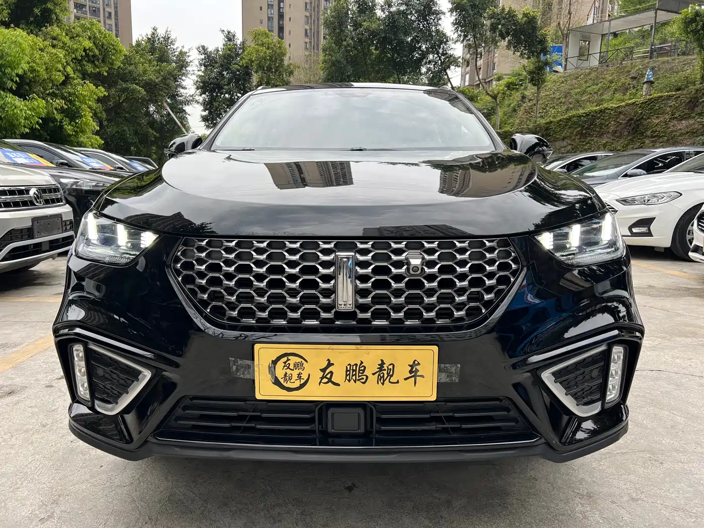 WEI PAI WEI BRAND VV5