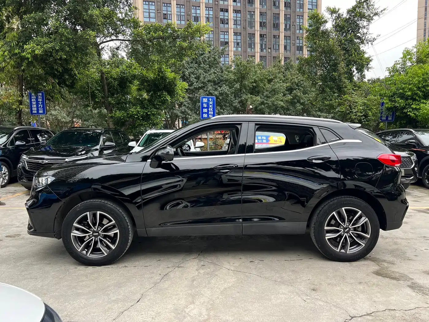 WEI PAI WEI BRAND VV5