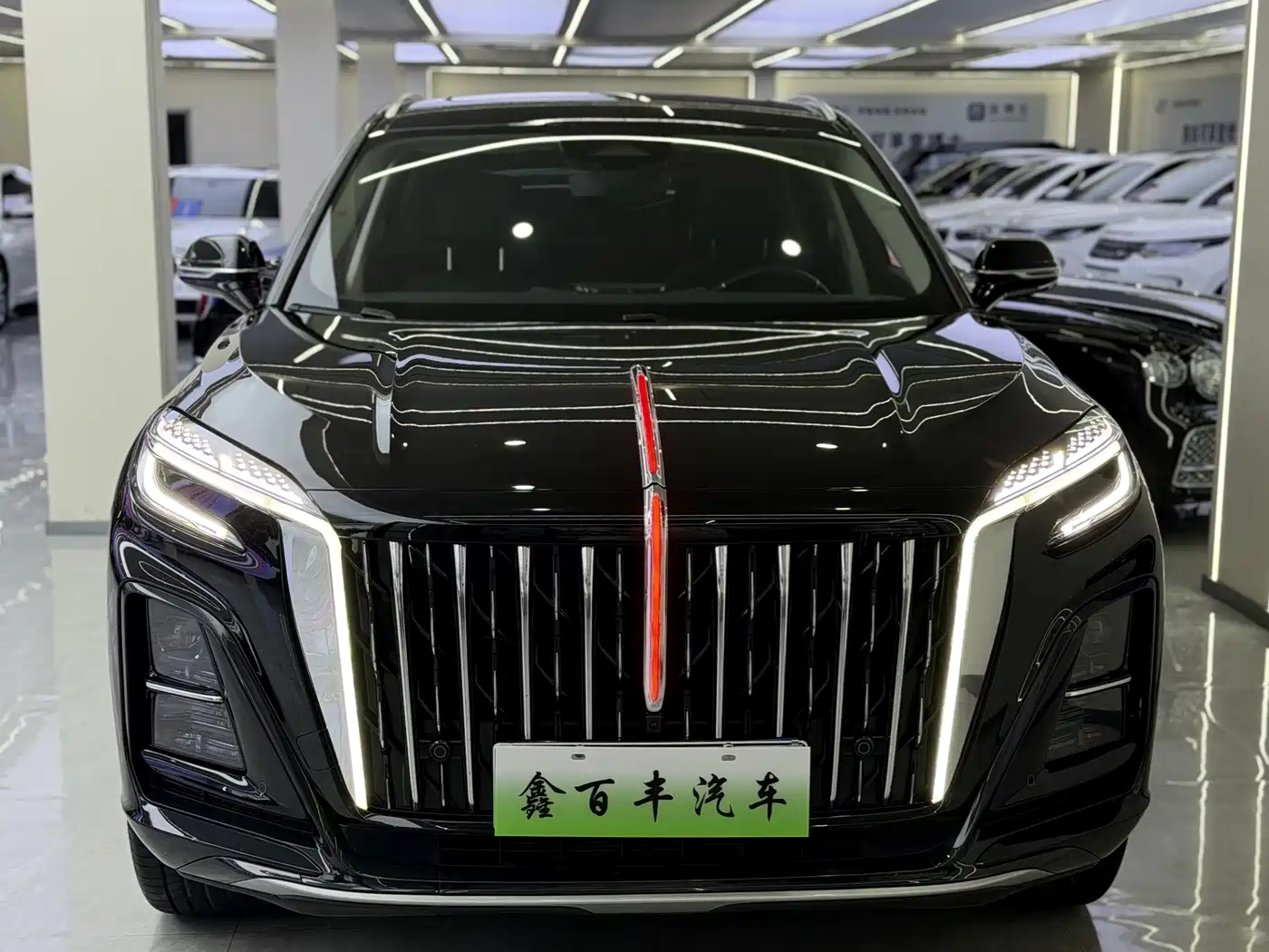 Hongqi HS3 PHEV 2025 2025 125km Jingwei 2 Million Commemorative Edition