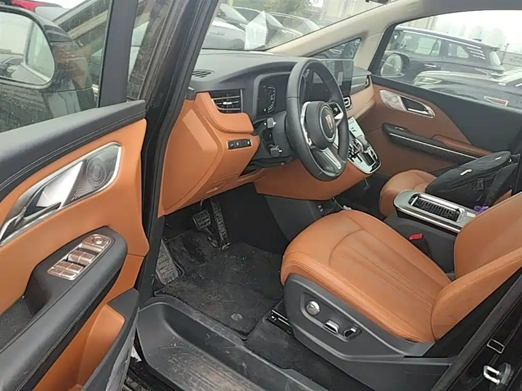 Hongqi HQ9 PHEV 2024 Model 2.0T AWD Business Edition фото 16