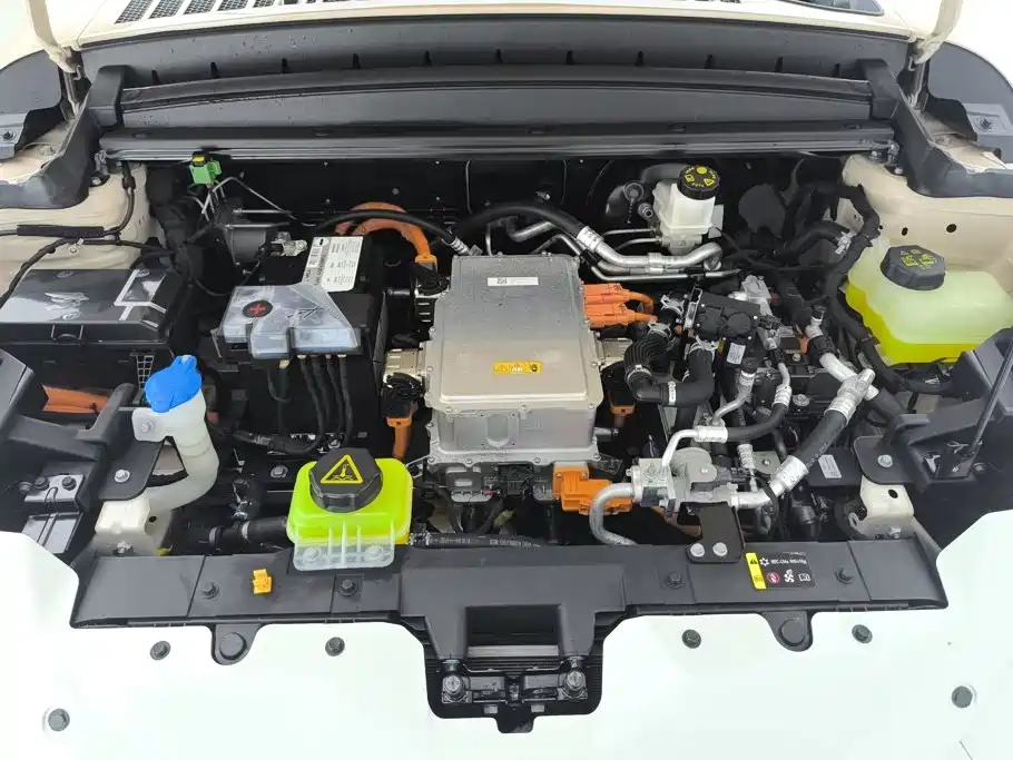 Ora Ballet Cat 2024 2023 401km Premium Model