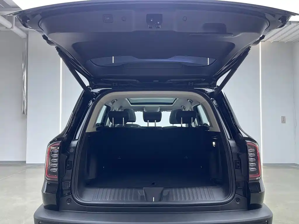 Haval Dargo 2025 2024 1.5T DCT Border Collie Edition