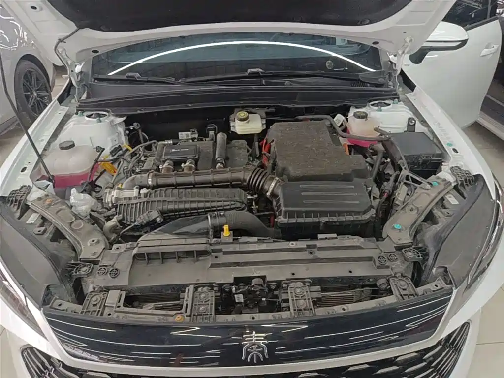 BYD Qin PLUS 2025 DM-i Smart Drive 55KM Leader фото 20
