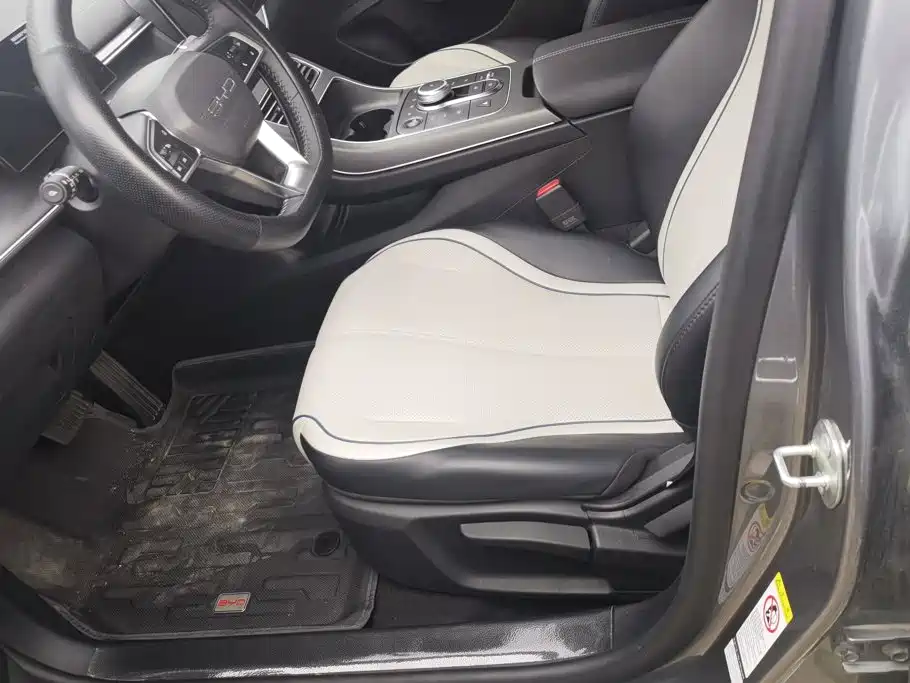BYD Destroyer 05 2025 2024 Glory Edition DM-i 55KM Luxury