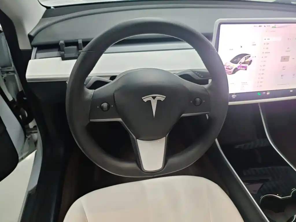 Tesla Model 3 (Import) 2019 2019 Standard Range RWD Upgraded Edition