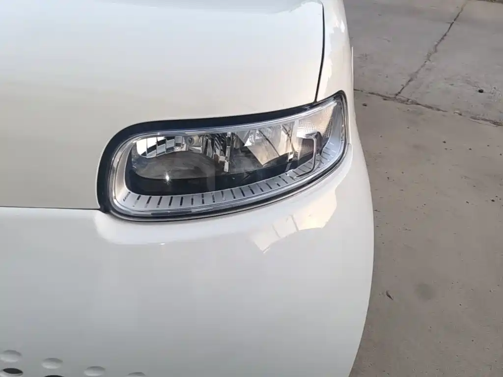 Ora White Cat 2020 2020 305km Luxury