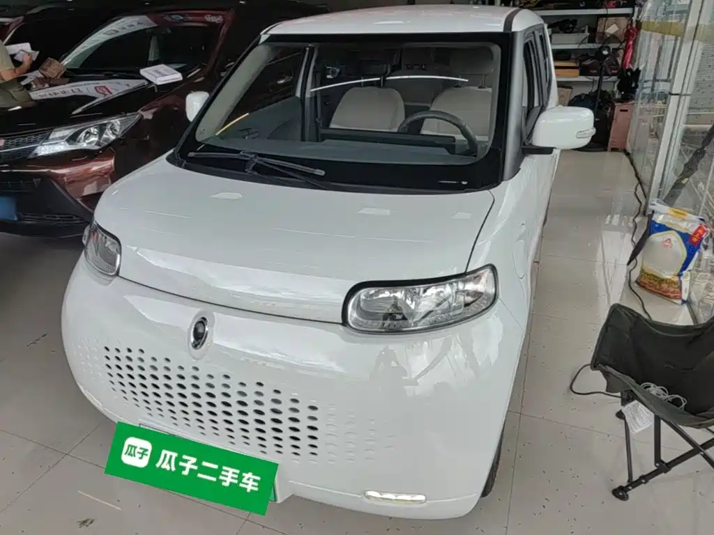 Ora White Cat 2021 2020 305km Luxury