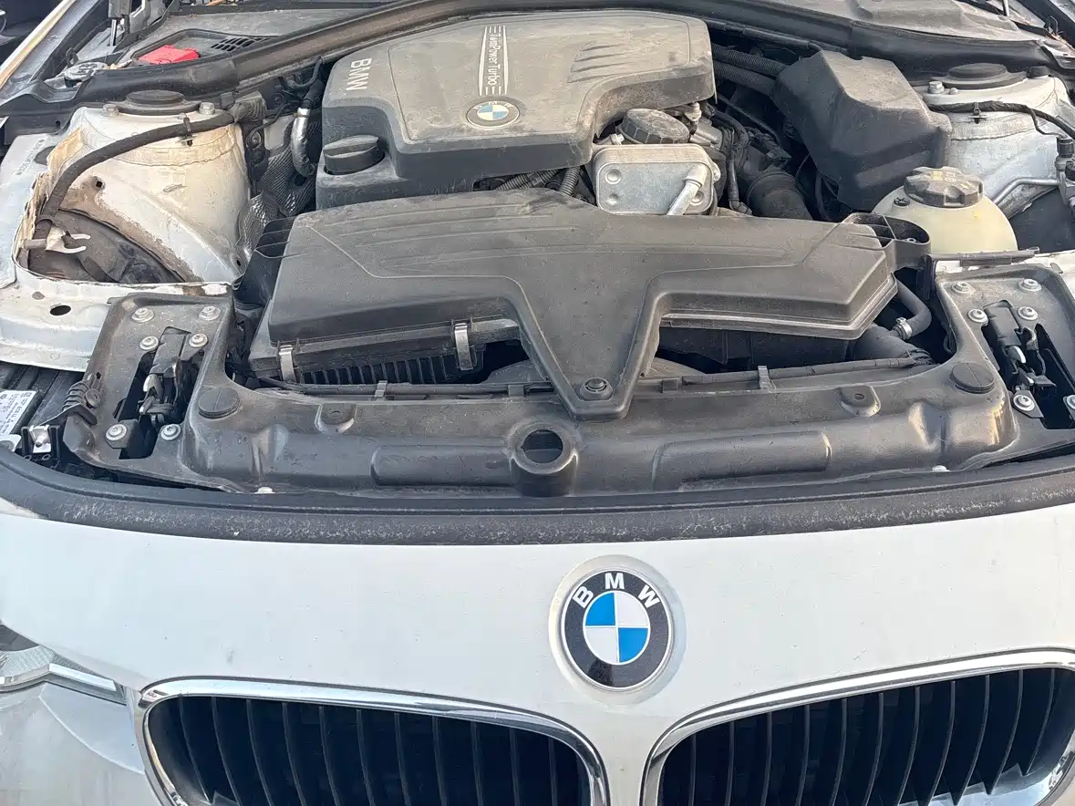BMW 3 Series 2016 320Li Progressive фото 13