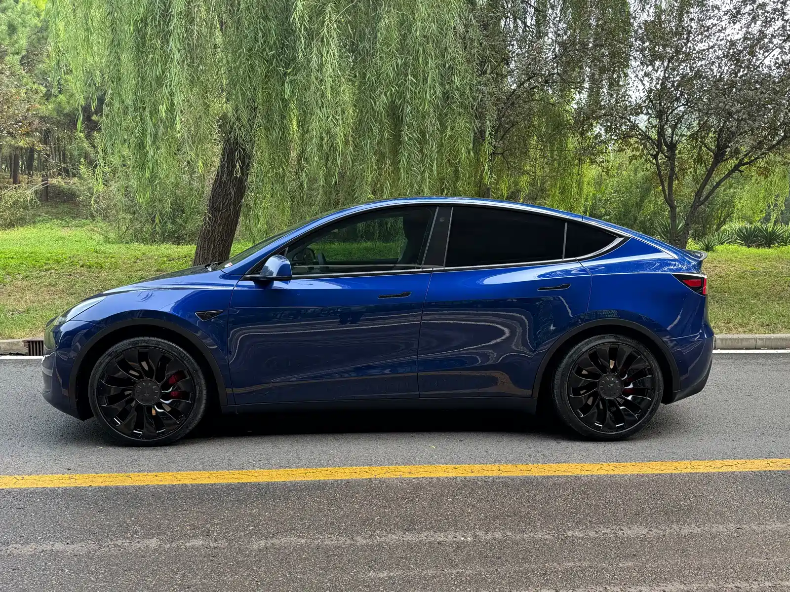 Фото 4 - Tesla Model Y