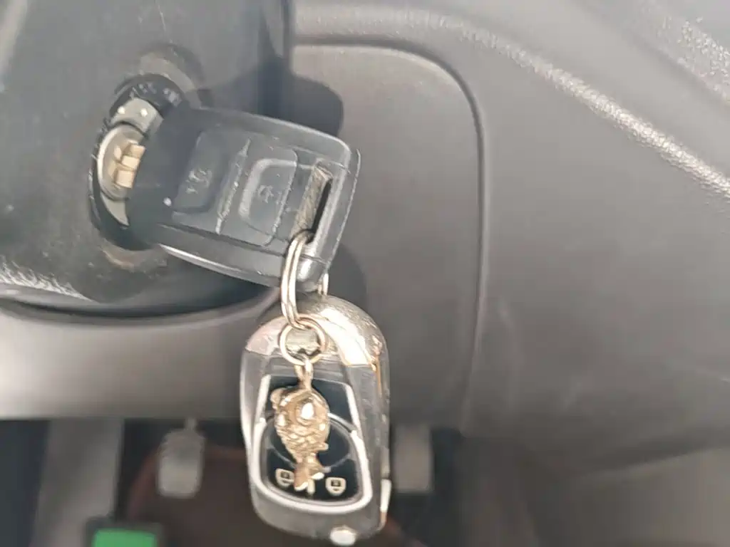 Фото 9 - Wuling Motors Wuling Hongguang V
