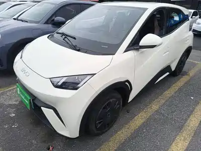 BYD Seagull