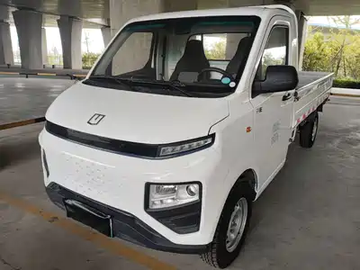 Farizon Xingxiang F1E