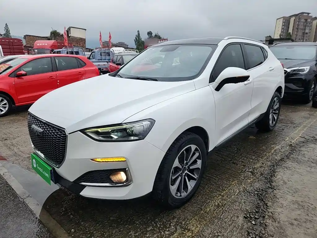 2019 Haval F5