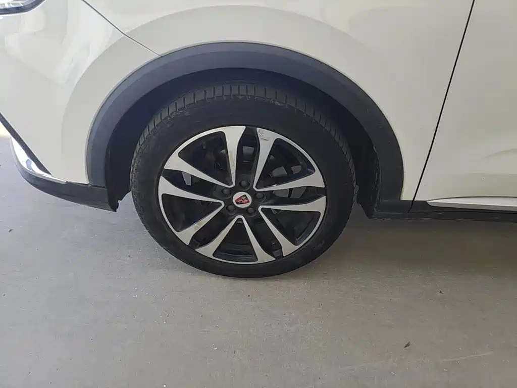 Фото 23 - Roewe RX3