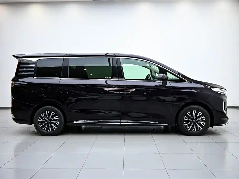 Hongqi HQ9 PHEV 2024 Model 2.0T AWD Luxury Edition фото 6