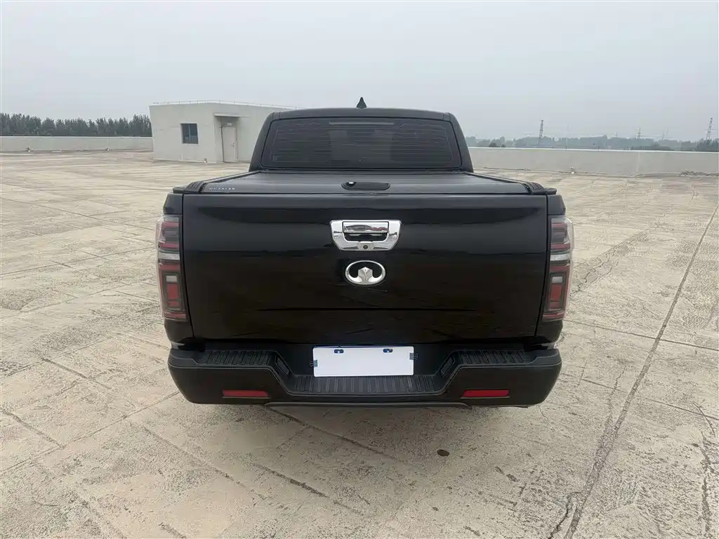 Great Wall Pao 2020 2019 2.0T Automatic Gasoline 4WD Comfort GW4C20B