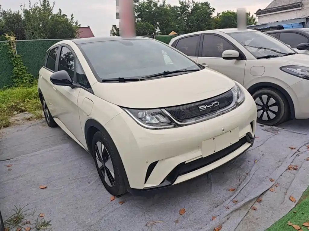 Фото 4 - BYD Dolphin