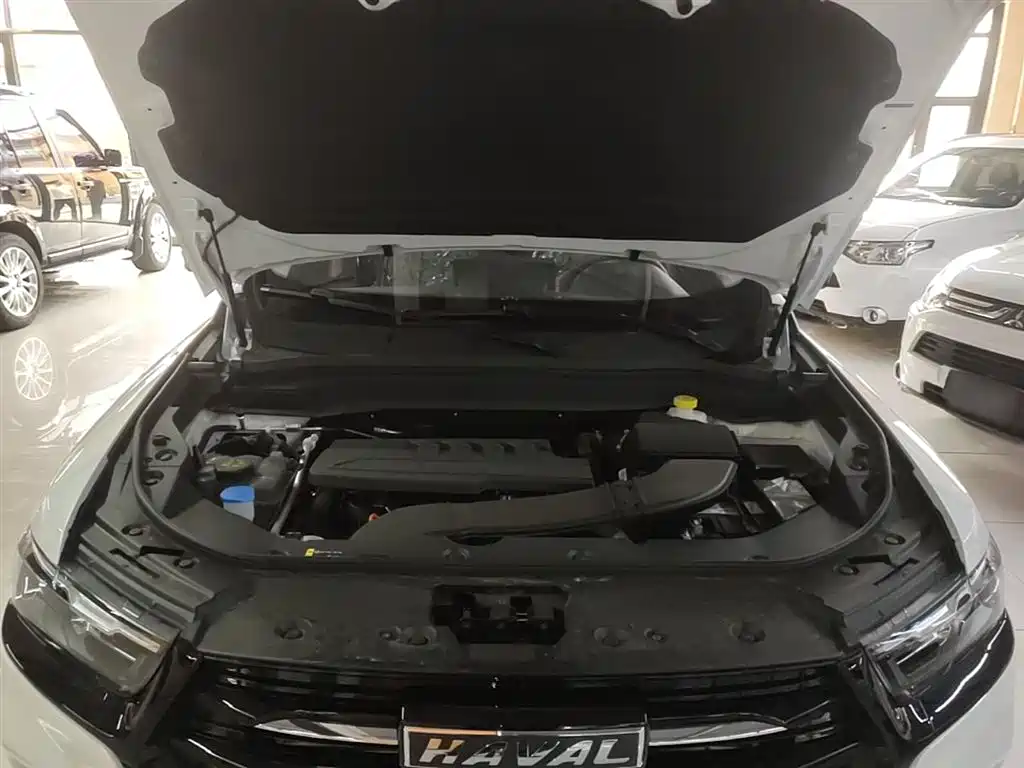 Haval H6 2025 1.5T National Trend Urban Edition фото 16