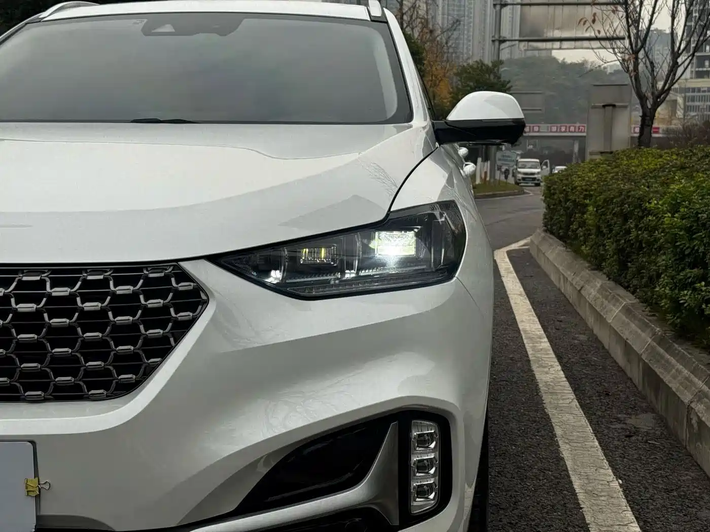 WEY VV6 2021 2021 2.0T 2WD Smart Enjoyment+