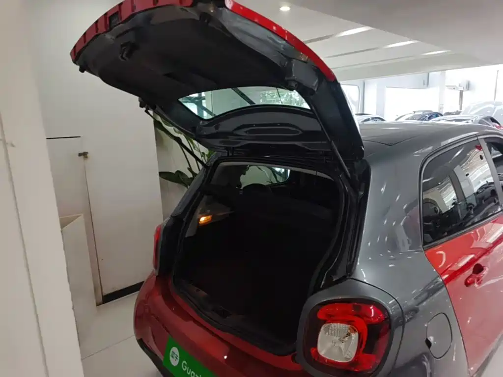 Фото 19 - smart forfour