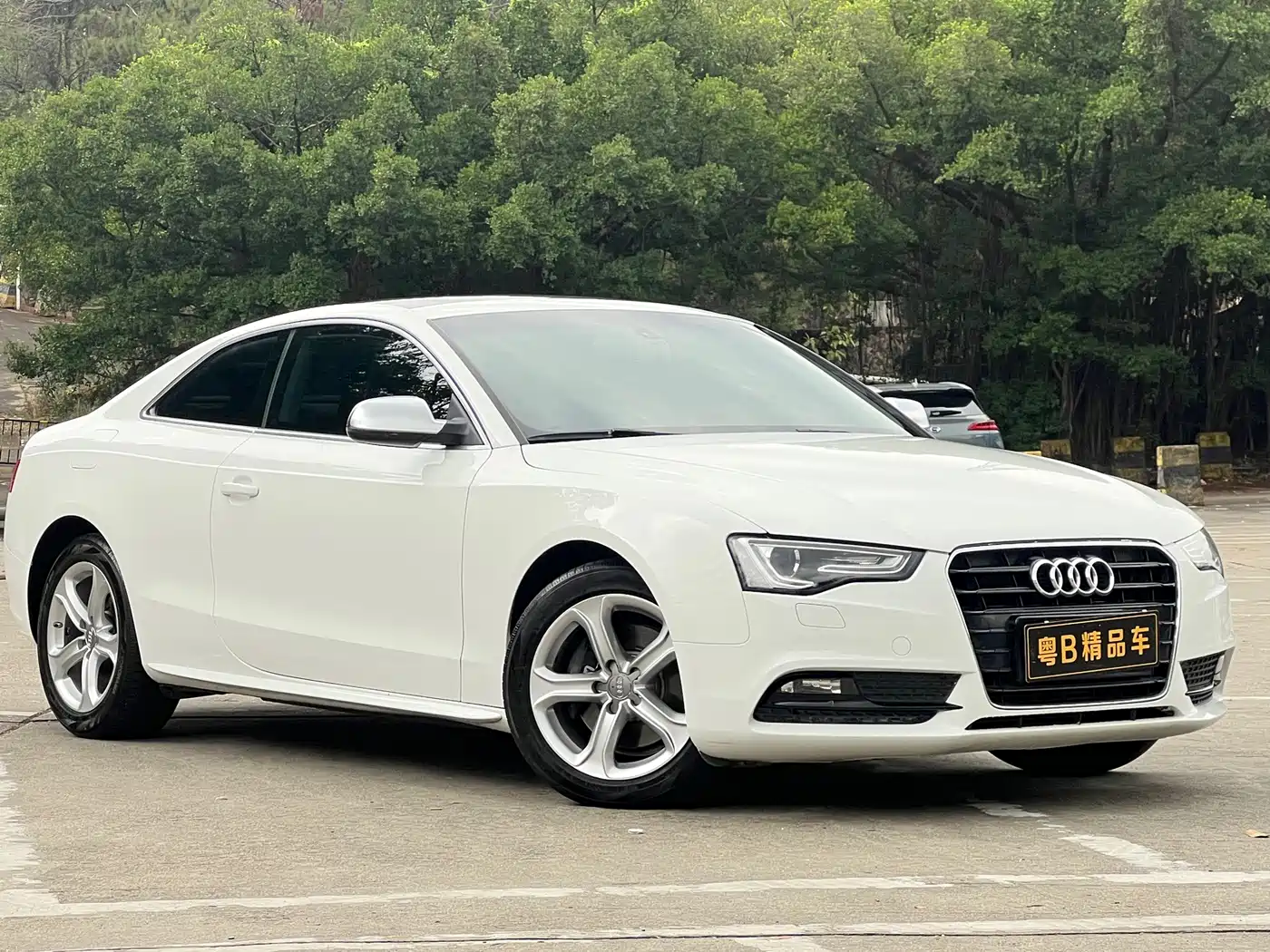 Audi A5 (Import) 2013 2012 2.0TFSI Coupe