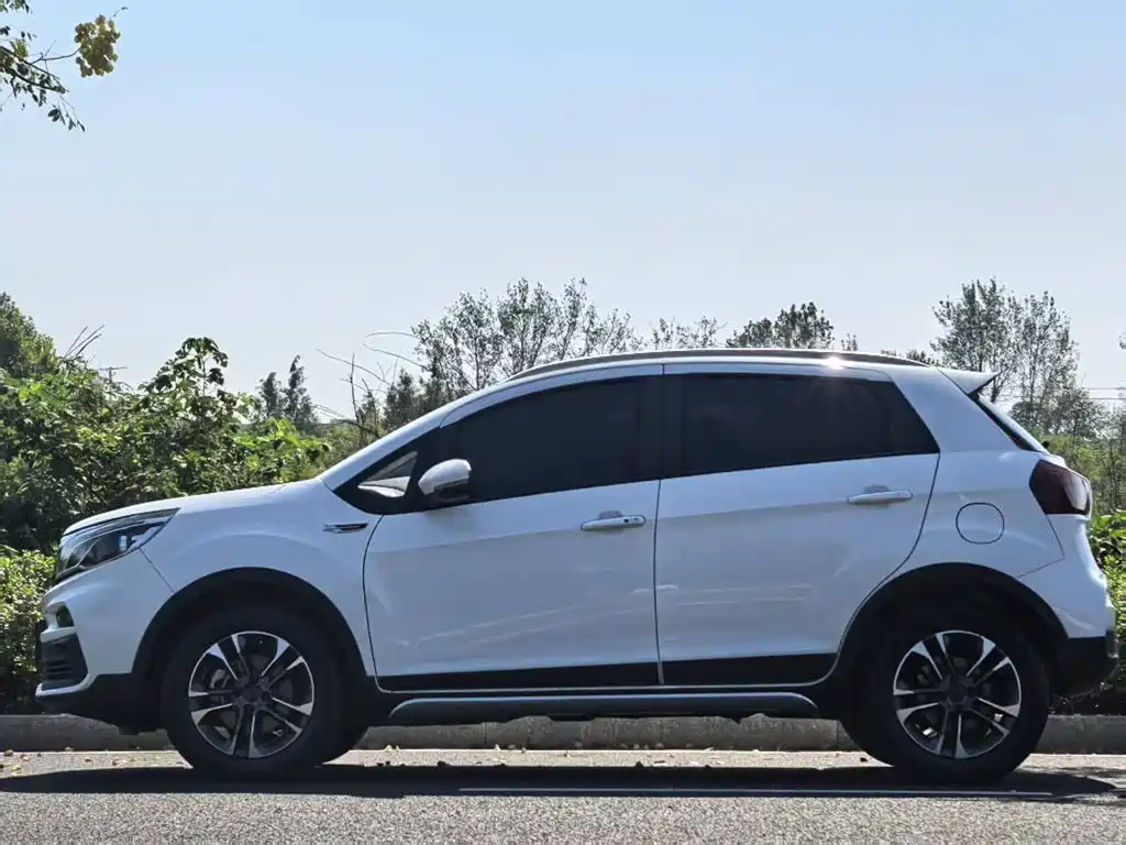 Фото 7 - Geely Vision X3