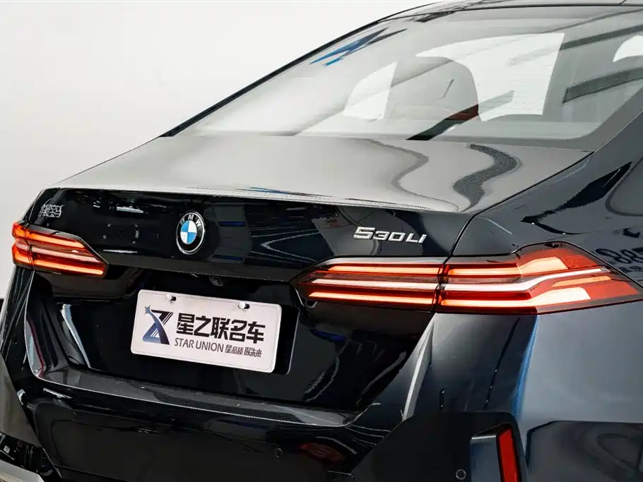 BMW 5 Series 2025 530Li Premium M Sport Package фото 9