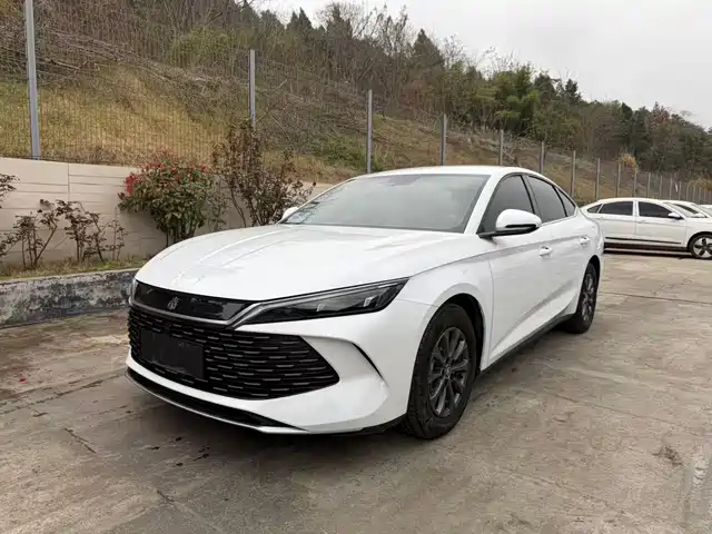 BYD QIN L
