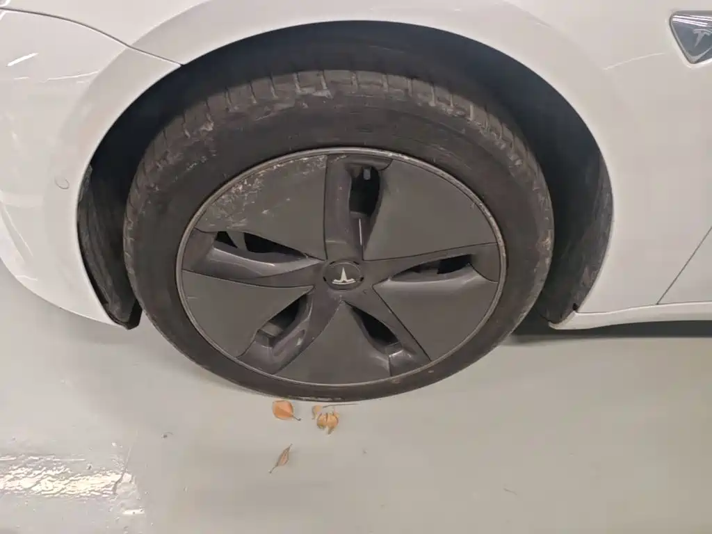 Tesla Model 3 (Import) 2019 2019 Standard Range RWD Upgraded Edition