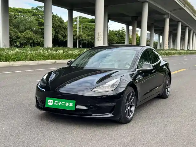 Tesla Model 3 Увеличенный запас хода, задний привод