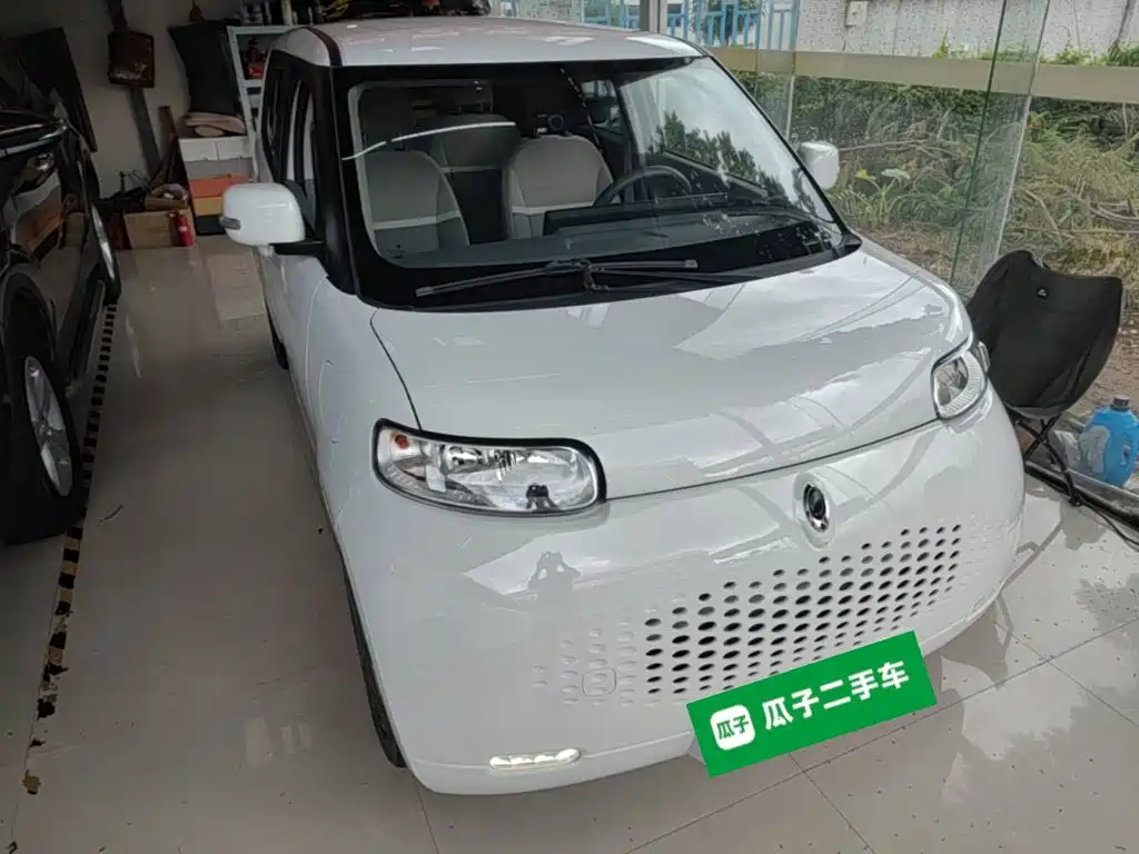 Ora White Cat 2021 2020 305km Luxury