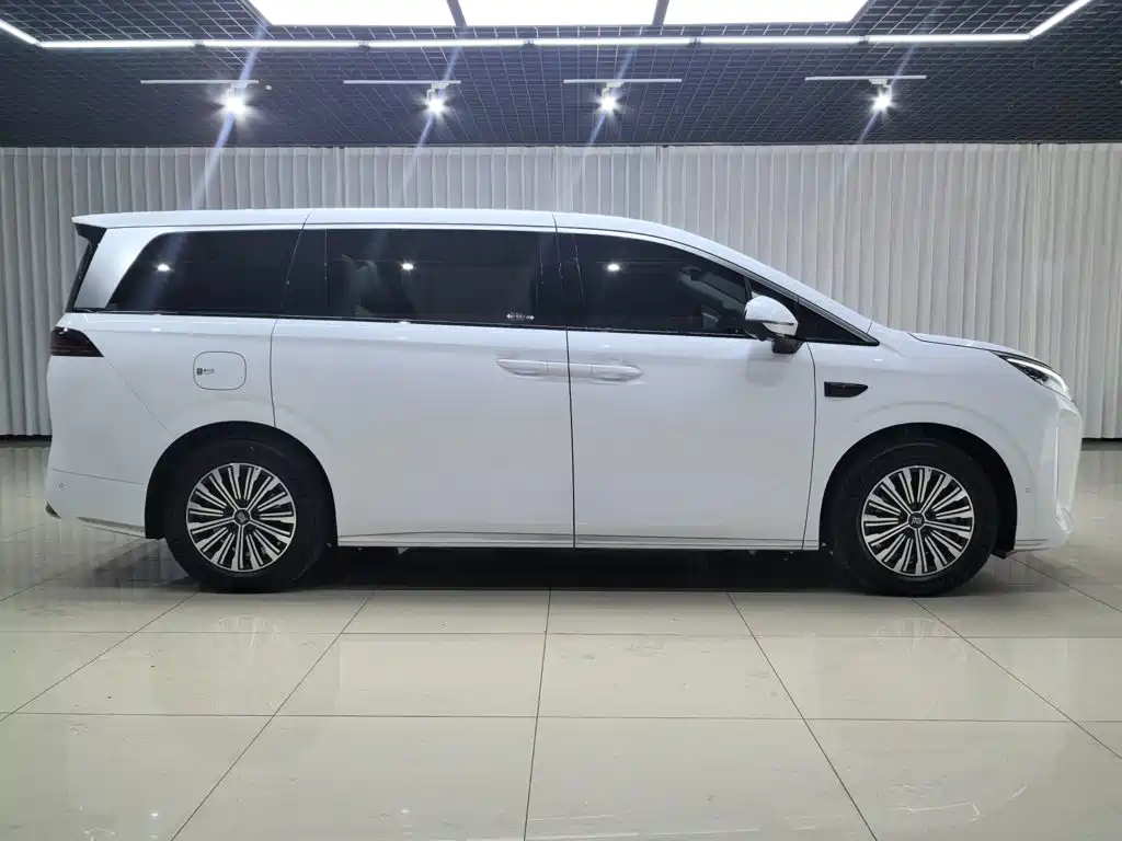 BYD Xia 2025 2025 DM-i 1.5T 180km Surpass Edition