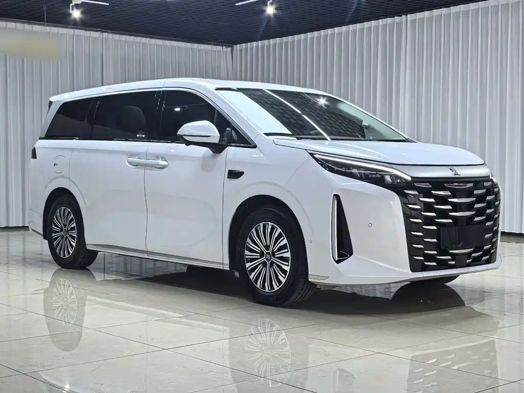 BYD Xia 2025 2025 DM-i 1.5T 180km Surpass Edition