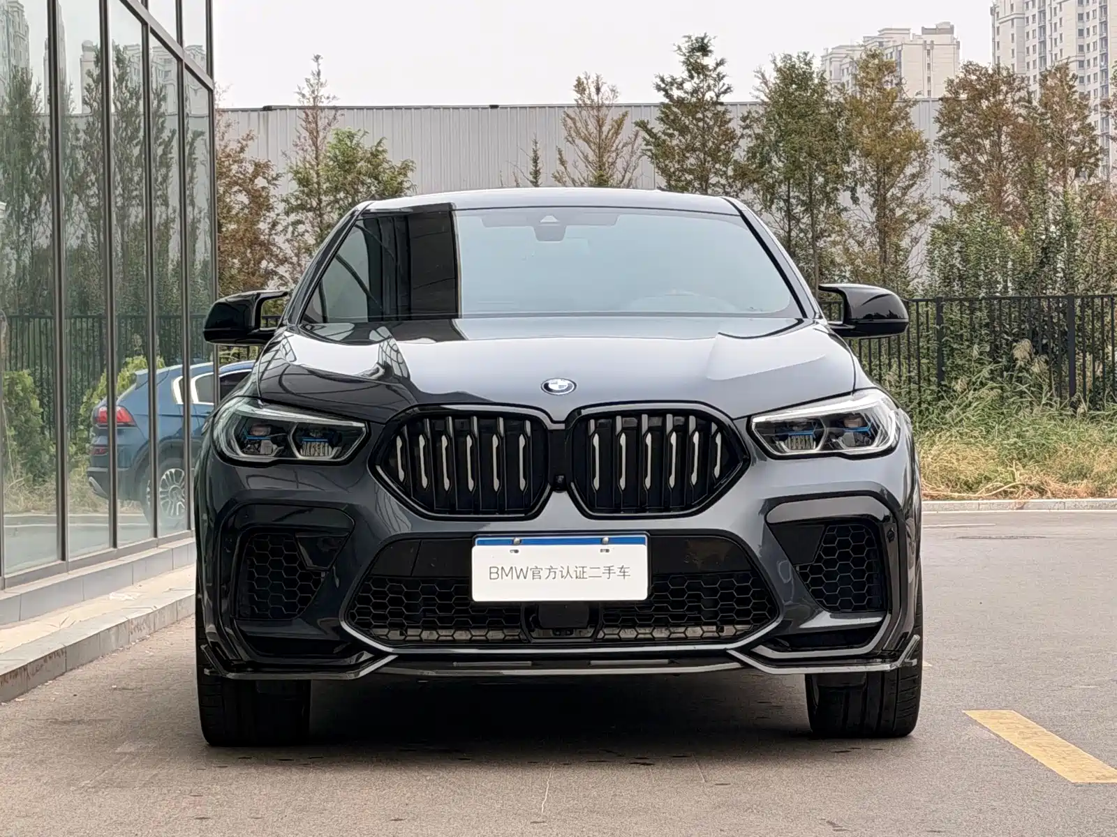 Photo 4 - BMW X6