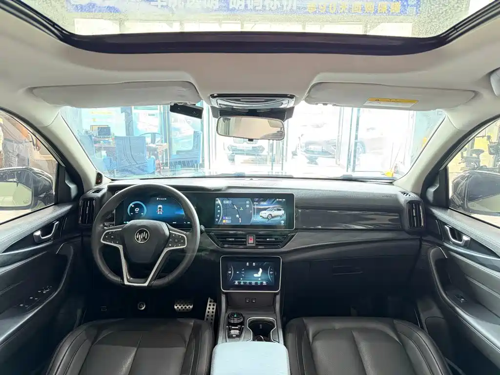 Weltmeister W6 2021 2021 520km NEX Explorer Edition